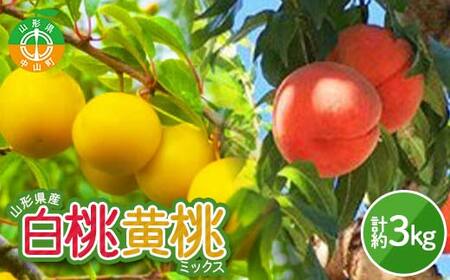 《2026年産 先行受付》山形県産 白桃・黄桃ミックス 秀品 約3kg 柔らかくなる桃 品種・玉数 おまかせ F4A-0974
