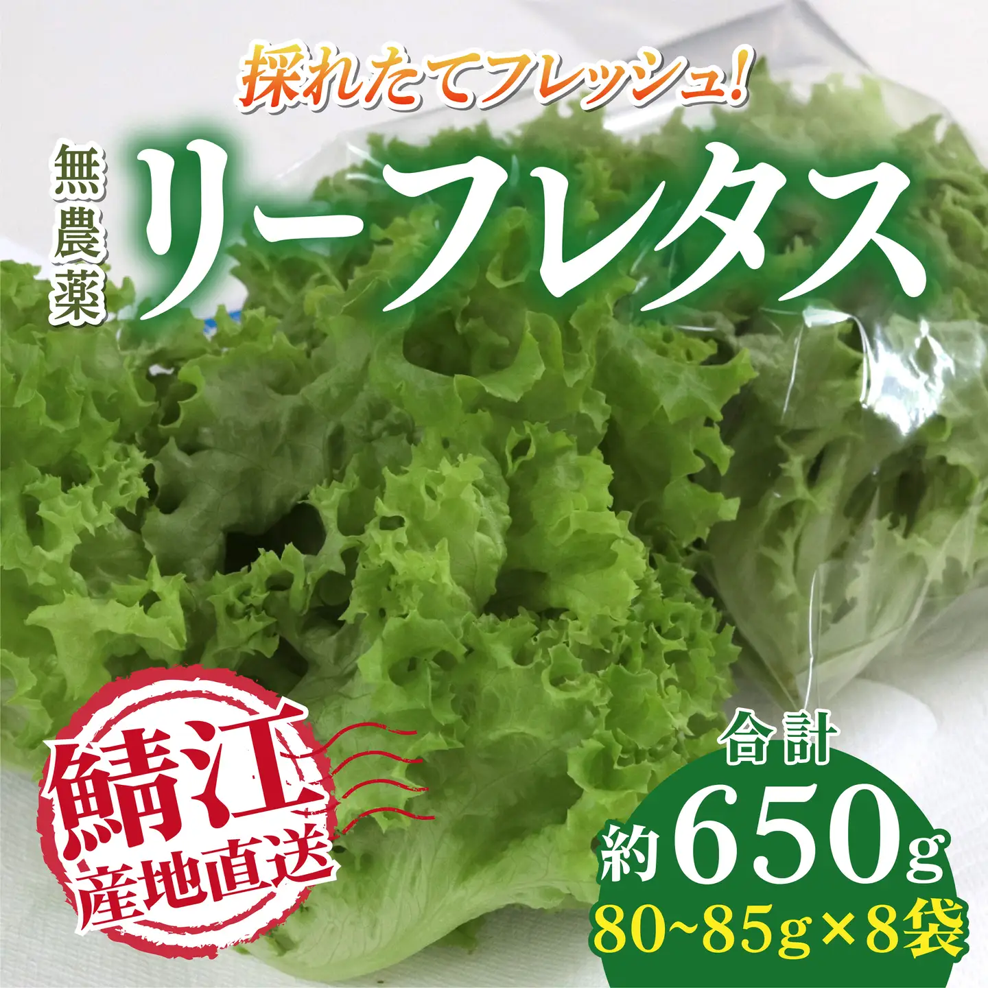 採れたてフレッシュな無農薬リーフレタス 8個入り
