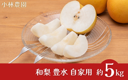 先行予約 和梨 豊水 自家用 約5kg 令和7年度 新潟県 三条市産 梨 [小林農園]【010P072】