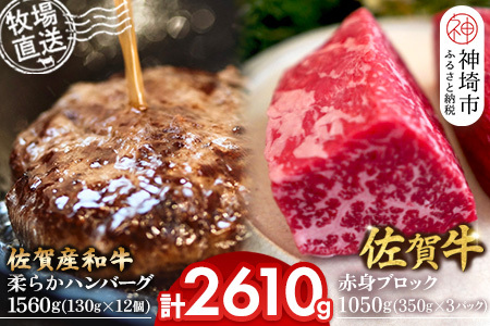 佐賀牛 赤身ブロック1050g・柔らかハンバーグ12個(H122104)
