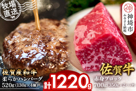 佐賀牛 赤身ブロック700g・柔らかハンバーグ4個(H122105)