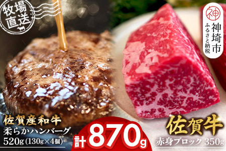 佐賀牛 赤身ブロック350g・柔らかハンバーグ4個(H122106)