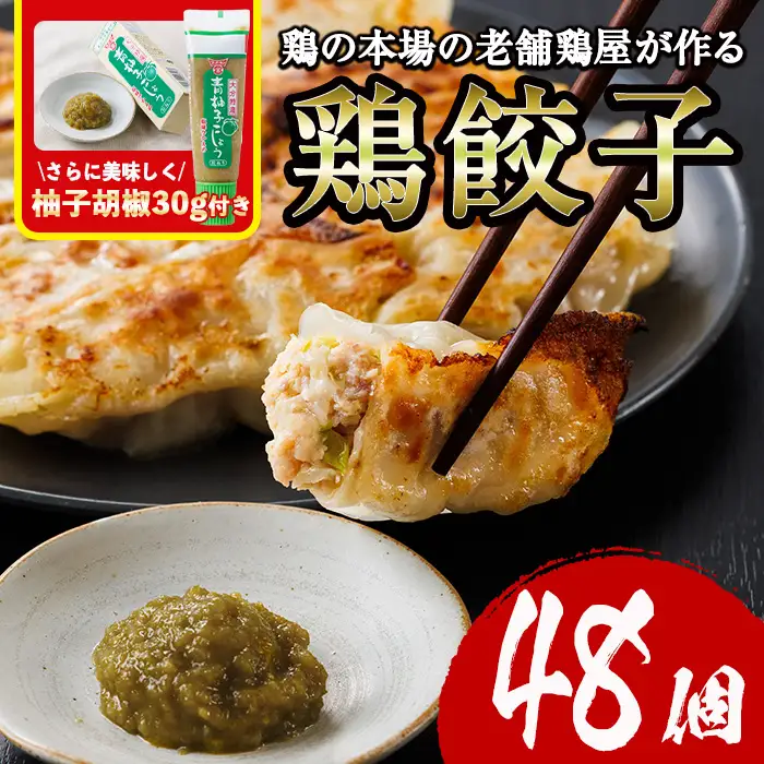 鶏の本場の老舗鶏屋が作る味鶏の餃子セット (計48個・1Pあたり12個入・柚子胡椒30g付き！) 鶏餃子 餃子 鶏肉 ぎょうざ おかず お惣菜 おつまみ 冷凍【V-70】【味鶏フーズ】