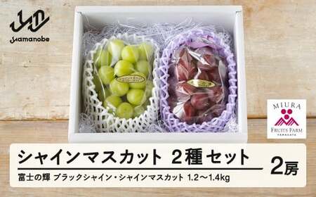 【先行予約】ぶどう 富士の輝 約650g シャインマスカット 約600g セット 令和8年産 2026年産 山形県山辺町産 ブラックシャインマスカット フルーツ 果物 ※沖縄・離島への配送不可  bg-bufsx1250