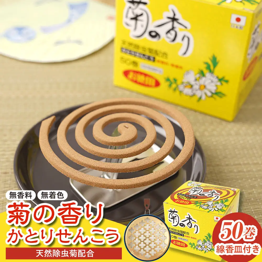 菊の香り かとりせんこう50巻+線香皿付き