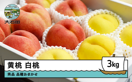 【先行予約】もも 黄桃&白桃 品種おまかせ 計3kg 令和8年産 2026年産  ※沖縄・離島への配送不可 ry-mohot3000