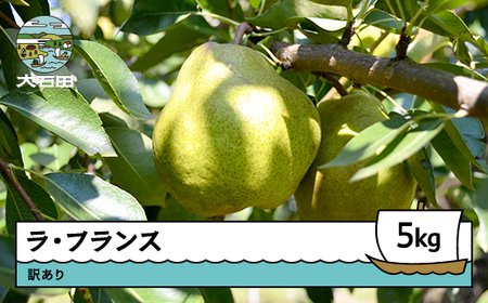 【先行予約】 洋梨 ラ・フランス 訳あり 約5kg 令和8年産 2026年産  ※沖縄・離島への配送不可 ry-lawxx5000