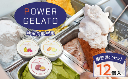 POWER gELATO 沖永良部島産（ 季節限定 セット 12個入り ） W066-002-02 冷凍 スイーツ