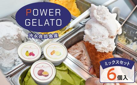 POWER gELATO 沖永良部島産（ ミックス セット 6個入り ） W066-003-01 冷凍 スイーツ