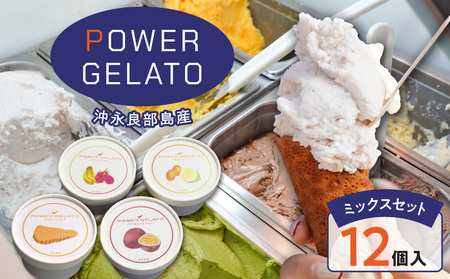 POWER gELATO 沖永良部島産（ ミックス セット 12個入り ） W066-003-02 冷凍 スイーツ