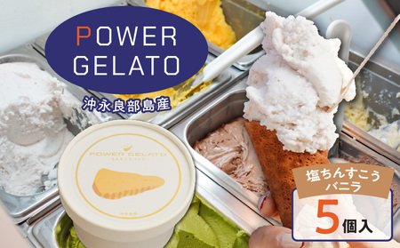 POWER gELATO 沖永良部島産（ 塩ちんすこうバニラ ）90ml × 5個入り W066-004-01 冷凍 スイーツ