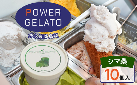 POWER gELATO 沖永良部島産（ シマ桑 ）90ml × 10個入り W066-005-02 冷凍 スイーツ