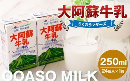 大阿蘇牛乳 250ml×24個入（1箱） 牛乳 ミルク 成分無調整 紙パック パック ロングライフ 長期保存 常温 熊本県 上天草市