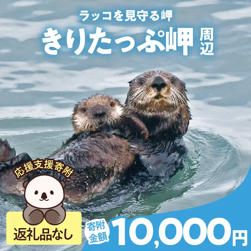 ラッコを見守る岬「きりたっぷ岬」周辺の環境整備　10000円分 返礼品なし_H0028-012