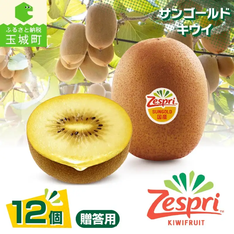 【先行予約】2026年度発送 三重県玉城町産 ゼスプリ サンゴールドキウイ 約1kg(贈答用)