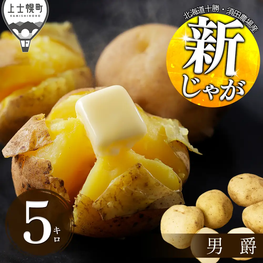 2026年産 先行予約 北海道産 新じゃが じゃがいも 男爵 5kg 北海道 上士幌町 須田農場 野菜 ジャガイモ 馬鈴薯 産地直送 ◆2026年9月中旬発送開始予定