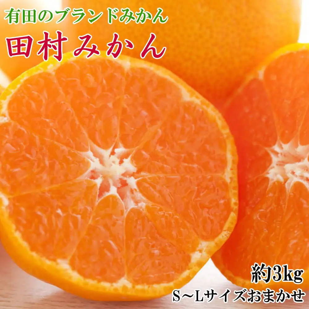 ［ブランドみかん］田村みかん約3kg（S・M・Lサイズおまかせ・秀品）★2026年11月下旬頃より順次発送
