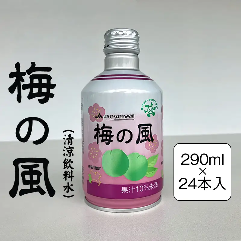 梅の風（清涼飲料水）　290ml×24本入り【 神奈川県 山北町 】