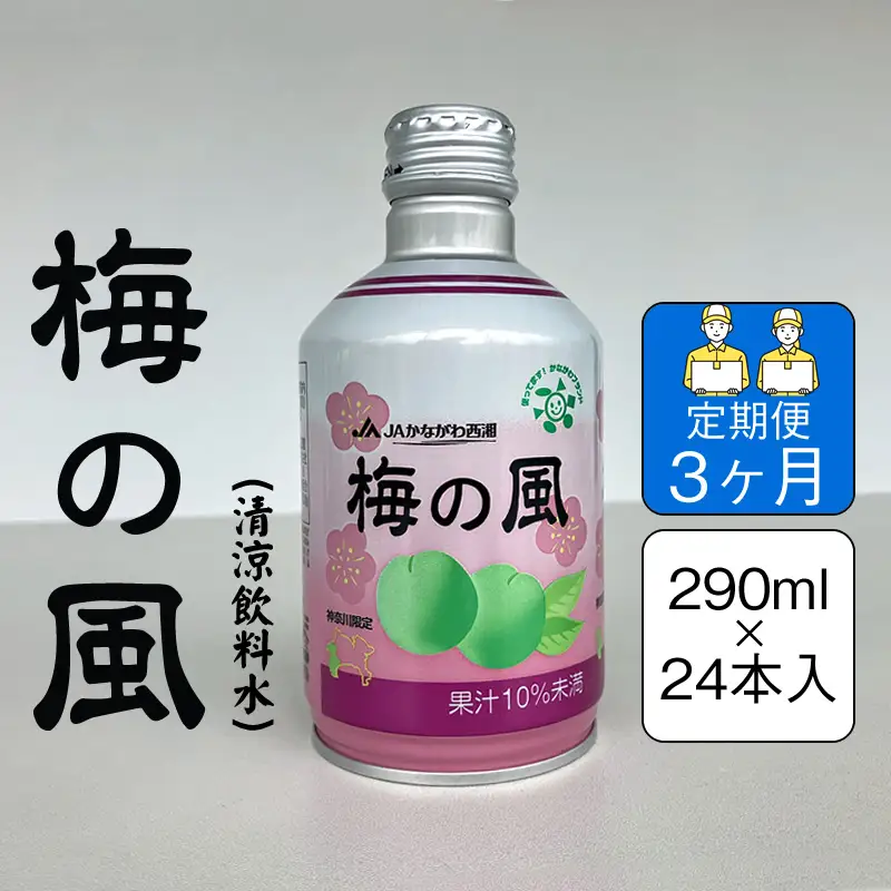 【定期便3ヶ月】梅の風（清涼飲料水）　290ml×24本入り【 神奈川県 山北町 】