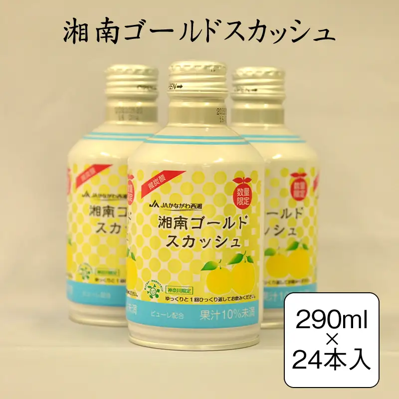 湘南ゴールドスカッシュ　290ml×24本入り【 神奈川県 山北町 】