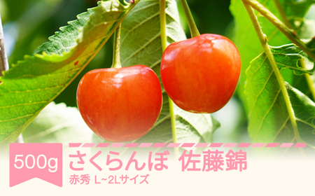 先行予約 さくらんぼ 佐藤錦 赤秀 500g×1パック L-2L玉 バラ詰 ご家庭用 2026年産 令和8年産 山形県産 mm-snpcx500