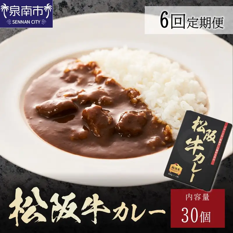 松阪牛カレー200g×30個セット 6ヶ月定期便【108A-003】