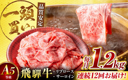【12回定期便】飛騨牛サーロイン・リブロース 1.2kg(400g×3パック) すき焼きしゃぶしゃぶ用肉 [AVBO029] カルビ 牛肉