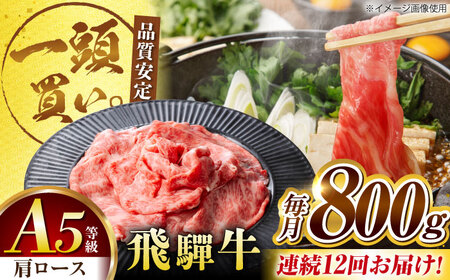 【12回定期便】飛騨牛肩ロース 800ｇ(400ｇ×2パック) すき焼きしゃぶしゃぶ用肉 [AVBO035]