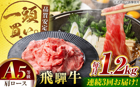 【3回定期便】飛騨牛肩ロース 1.2kg(400ｇ×3パック) すき焼きしゃぶしゃぶ用肉 [AVBO036]