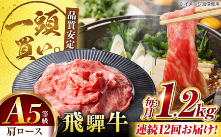 【12回定期便】飛騨牛肩ロース 1.2kg(400ｇ×3パック) すき焼きしゃぶしゃぶ用肉 [AVBO038]