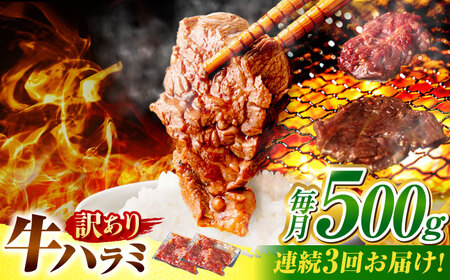 【3回定期便】【訳あり】味付けハラミ 500ｇ(250ｇ×2パック) [AVBO039] 