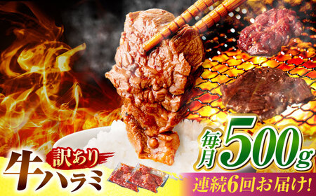 【6回定期便】【訳あり】味付けハラミ 500ｇ(250ｇ×2パック) [AVBO040]