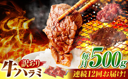【12回定期便】【訳あり】味付けハラミ 500ｇ(250ｇ×2パック) [AVBO041]