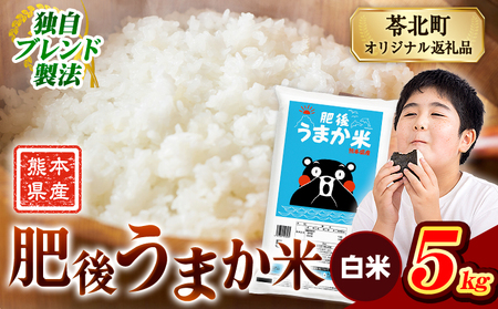 肥後うまか米 5kg 白米 米