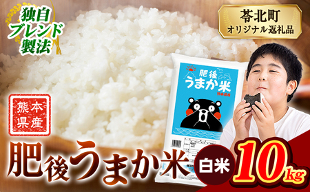 肥後うまか米 10kg 白米 訳あり