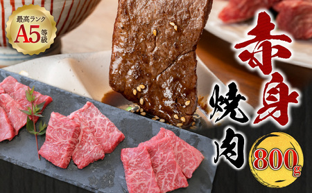 A5等級 鹿児島県産 黒毛和牛 赤身 焼肉 800g K002-051_08 肉 牛肉 冷凍