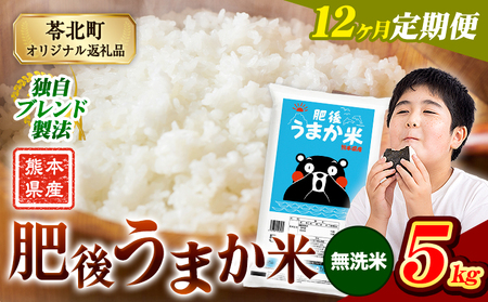 【定期便12回】無洗米 肥後うまか米 5kg 無洗