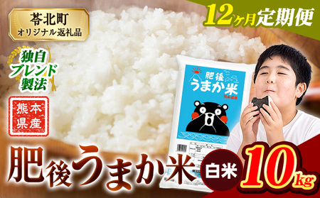 【12ヶ月定期便】肥後うまか米 10kg 白米