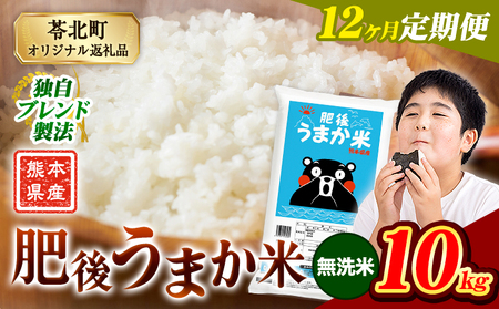 【12ヶ月定期便】肥後うまか米 10kg 無洗米