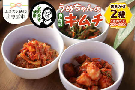旬野菜で作るうめちゃんの自然派キムチ　おまかせ２種 キムチ 漬物 手作り 自然派 旬野菜 農薬未使用野菜 韓国料理 ご飯のお供 プレゼント 贈答 贈り物 送料無料 山梨県 上野原市