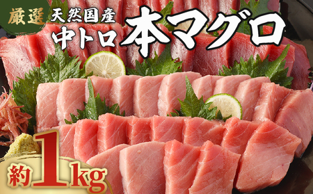 【数量限定】 厳選 天然 本マグロ 中トロ 1kg 以上 国産 鮮魚 マグロ 魚 刺身 刺し身 漬け丼 海鮮丼 おかず 魚介類 海鮮 海産物 まぐろ 本まぐろ 鮪 ブロック  惣菜 冷凍 美阿丸 高知県 室戸市