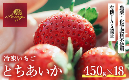 有機JAS認証いちご使用 冷凍いちご 450g×18