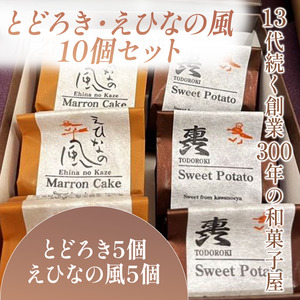 とどろき・えひなの風 10個セット