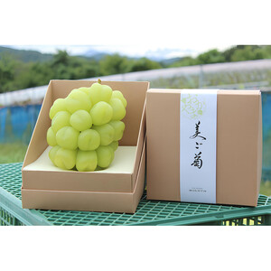 【2026年発送】びっくりサイズの大粒ぶどう 岡山県産 雄宝 １房(約1.0kg)