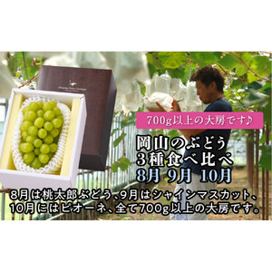 【定期便】岡山のぶどう　3種食べ比べ（8月・9月・10月）【2026年度発送】