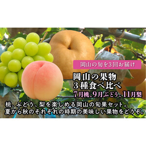 【定期便】岡山の果物　3種食べ比べ（7月桃・9月ぶどう・11月梨）【2026年度発送】
