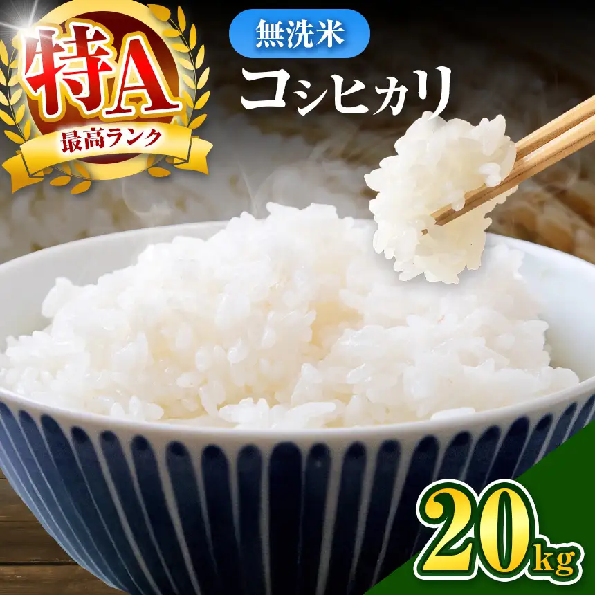 無洗米 令和7年産 千葉県産 コシヒカリ 20kg
