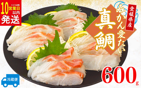 真鯛 みかん 刺身 600g 真鯛
