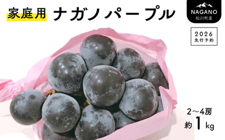 TK18　ぶどう ナガノパープル【家庭用】 約1kg ／2026年9月上旬～9月中旬配送予定 // 長野県 南信州 松川町産 種なし 皮ごと 南信州 長野県 オリジナル品種 稀少 人気 自家用