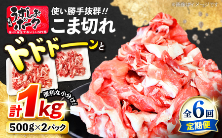 6回定期便 長崎うずしおポーク こま切れ 1kg CAG312 こま切れ 訳あり
